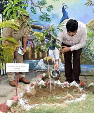 विश्व पर्यावरण दिवस:अपर पुलिस महानिदेशक रमित शर्मा बरेली जोन कार्यालय परिसर मे वृक्षारोपण